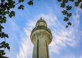 Hoca Pasa Cami Mosque minaret framed by grape leaves in Istanbul, Turkey