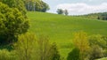 Hochsauerland Nature Landcape Scenes...Green nature with grass and trees... Royalty Free Stock Photo