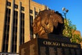 Chicago blackhawk alumni Royalty Free Stock Photo