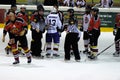 Hockey fight Royalty Free Stock Photo