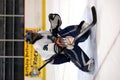 Hockey goalie Royalty Free Stock Photo