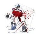 Hockey goalie, geometric vector illustration Royalty Free Stock Photo