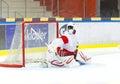 Hockey Goalie Royalty Free Stock Photo