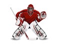 Hockey goalie