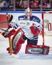 Hockey match of Penny DEL Koelner Haie - Iserlohn Roosters at Lanxess Arena