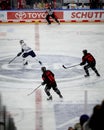 Hockey match of Penny DEL Koelner Haie - Red Bull Muenchen at Lanxess Arena