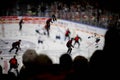 Hockey match of Penny DEL Koelner Haie - Red Bull Muenchen at Lanxess Arena