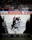 Hockey match of Penny DEL Koelner Haie - Red Bull Muenchen at Lanxess Arena