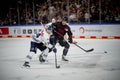 Hockey match of Penny DEL Koelner Haie - Red Bull Muenchen at Lanxess Arena