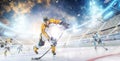 Hockey player in helmet and gloves at the winter stadium. Sport concept. Athlete in action. Winter Royalty Free Stock Photo