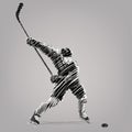 Hockey player. Royalty Free Stock Photo