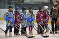 Hockey players before the match, Royalty Free Stock Photo