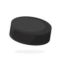 Hockey puck