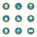 Hockey race icons set, flat style Royalty Free Stock Photo