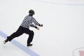 Hockey Referee Royalty Free Stock Photo