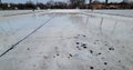 A hockey rink in a local park melts as spring arrives.