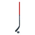 Hockey stick icon isometric vector. Ice rink