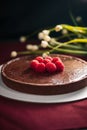 ÃÂ¡hocolate cake with raspberry Royalty Free Stock Photo