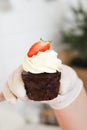 ÃÂ¡hocolate cupcake Royalty Free Stock Photo