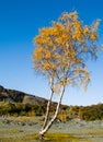 Hodge close