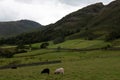 Farmland in Little Langdale 2, in Coniston, in the Lake District, in August, 2020.