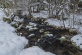 Hodslavsky creek with snow and ice in snowy winter day in Sumava national park Royalty Free Stock Photo
