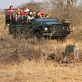 Tourists in safari vehicle observing African leopard in Timbavati Private Nature Reserve, South Africa Royalty Free Stock Photo