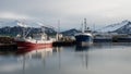 Hofn Fishing Harbor, Iceland Royalty Free Stock Photo