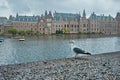 Hofvijver lake and Binnenhof , The Hague Royalty Free Stock Photo