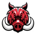 Hog head mascot