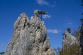 Hohe wand climbing area in Austria, sportklettern climbing Royalty Free Stock Photo