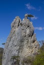 Hohe wand climbing area in Austria, sportklettern climbing Royalty Free Stock Photo