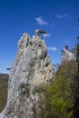 Hohe wand climbing area in Austria, sportklettern climbing Royalty Free Stock Photo