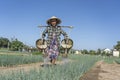 Vietnamese senior woman watering vegetable garden in vegetarian village near Hoi An city, Vietnam