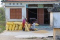 A man and a woman fill sacks of rice next to their home during the first rice harvest of 2021 in Hoi An, Vietnam
