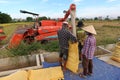 Three Vietnamese farmers fill sacks from a combine harvester in a rice field during the first rice harvest of 2021 in Hoi An, Viet