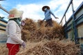Two women load straw bales into a truck during the first rice harvest of 2021 in Hoi An, Vietnam Royalty Free Stock Photo