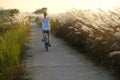 Hoi An / Vietnam, 12/11/2017: Tourist woman cycling through fields during sunset in in Hoi An, Vietnam Royalty Free Stock Photo