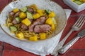 Hoisin duck with egg noodles Royalty Free Stock Photo