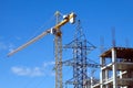 Hoisting tower crane and top of industrial building