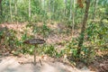 HOJIMIN City, Vietnam Mar 17:: B25 bomb crater from the Vietnam