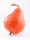 Hokaido pumpkin Royalty Free Stock Photo