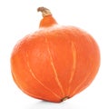 Hokaido pumpkin Royalty Free Stock Photo