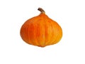 Hokaido pumpkin Royalty Free Stock Photo