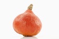 Hokaido pumpkin on white background Royalty Free Stock Photo