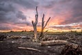 Hokitika Beach on the West Coast of New Zealand`s South Island. Royalty Free Stock Photo