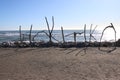 Hokitika coast wooden driftwood sticks sign board