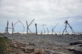 Hokitika driftwood Royalty Free Stock Photo