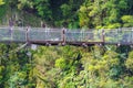 Hokitika Gorge swingbridge