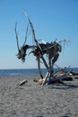 Hokitika NZ sculpture on beach